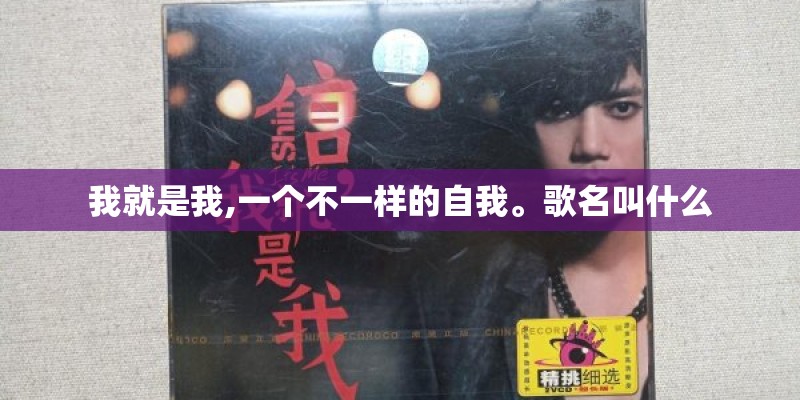 我就是我,一个不一样的自我。歌名叫什么