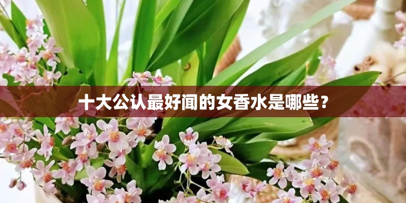 十大公认最好闻的女香水是哪些？