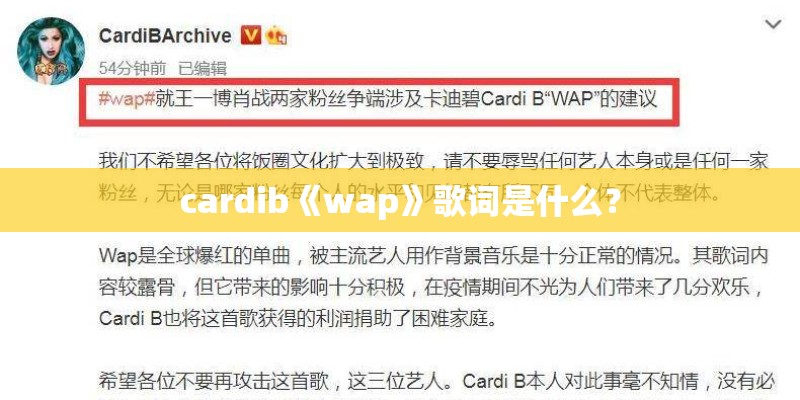 cardib《wap》歌词是什么？