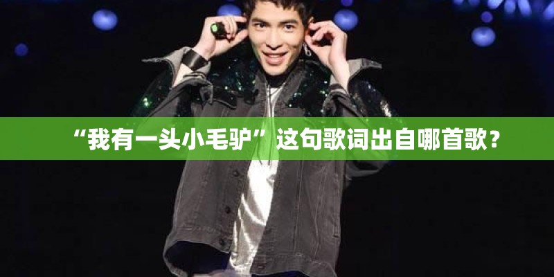 “我有一头小毛驴”这句歌词出自哪首歌？