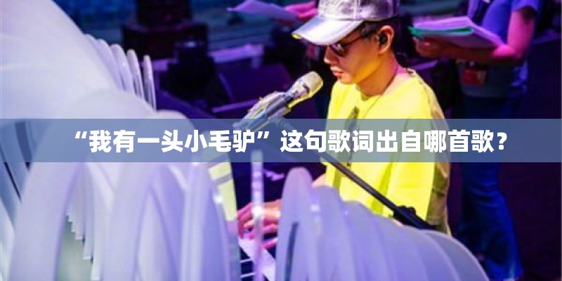 “我有一头小毛驴”这句歌词出自哪首歌？