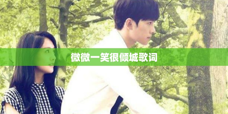 微微一笑很倾城歌词
