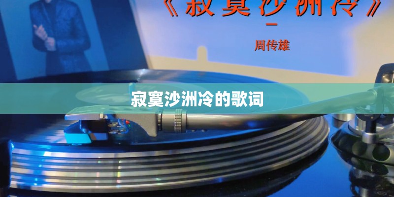寂寞沙洲冷的歌词