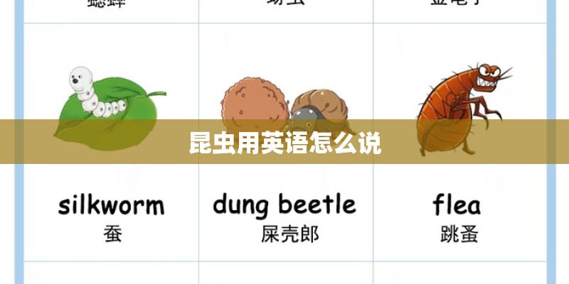 刘学民的艺术生涯