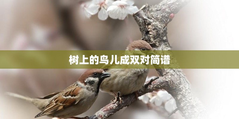 树上的鸟儿成双对简谱