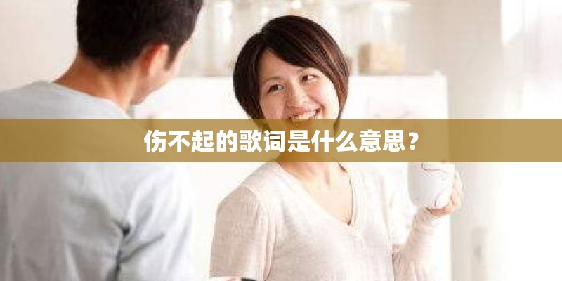 伤不起的歌词是什么意思？