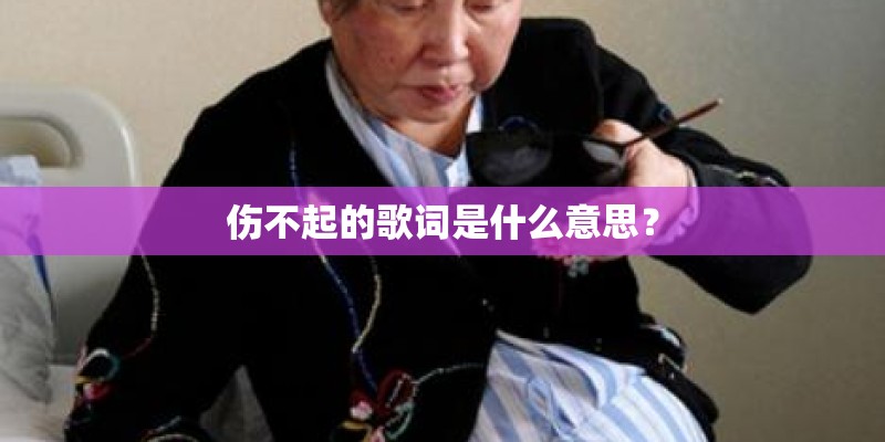 伤不起的歌词是什么意思？
