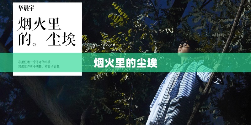 烟火里的尘埃