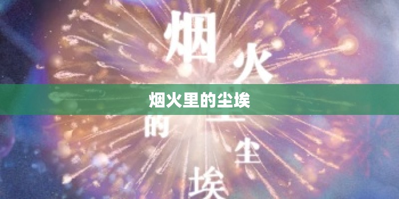 烟火里的尘埃