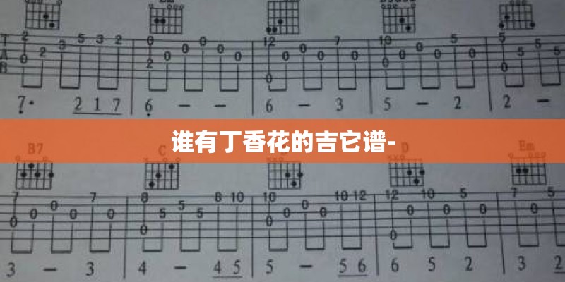 谁有丁香花的吉它谱-