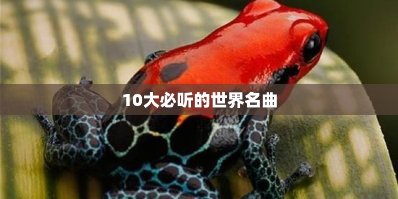 10大必听的世界名曲