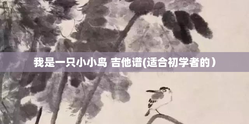 我是一只小小鸟 吉他谱(适合初学者的）