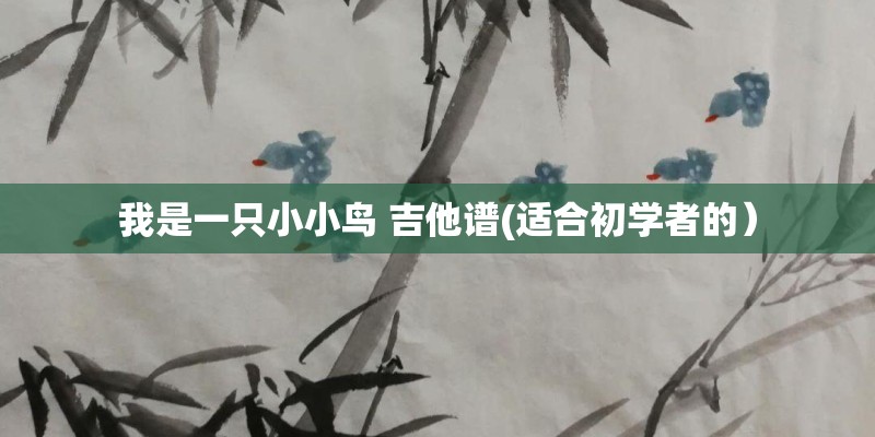 我是一只小小鸟 吉他谱(适合初学者的）