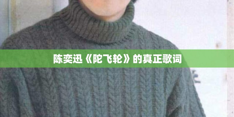 陈奕迅《陀飞轮》的真正歌词