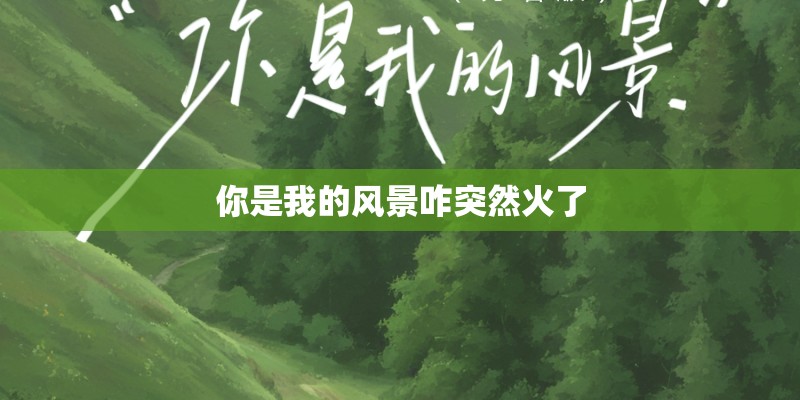 你是我的风景咋突然火了