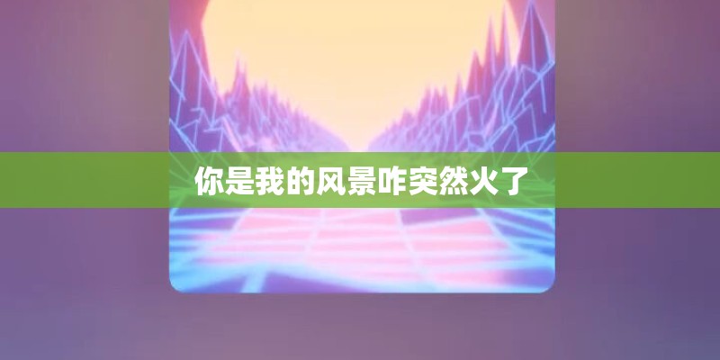 你是我的风景咋突然火了