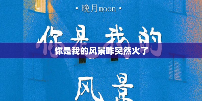 你是我的风景咋突然火了