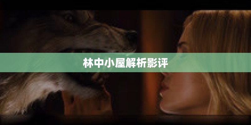 林中小屋解析影评