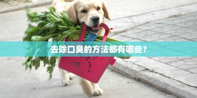 去除口臭的方法都有哪些？
