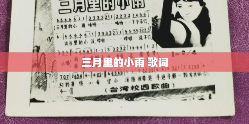 三月里的小雨 歌词