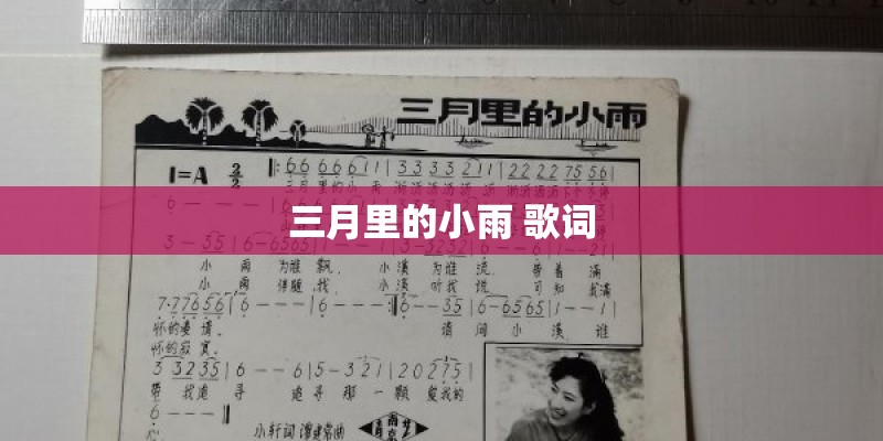 三月里的小雨 歌词