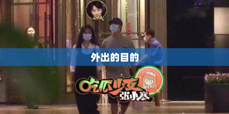 外出的目的