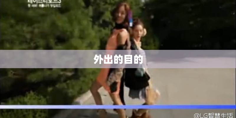 外出的目的