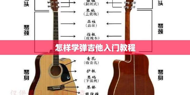 怎样学弹吉他入门教程