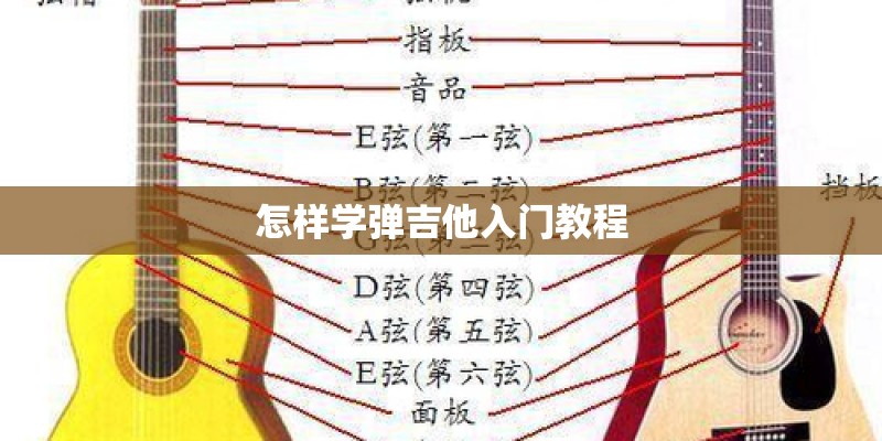 怎样学弹吉他入门教程