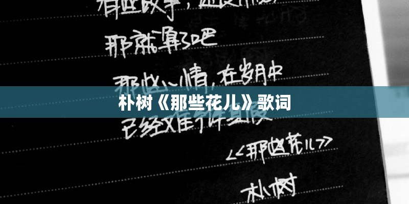 朴树《那些花儿》歌词