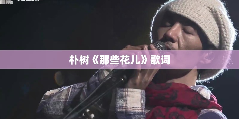 朴树《那些花儿》歌词