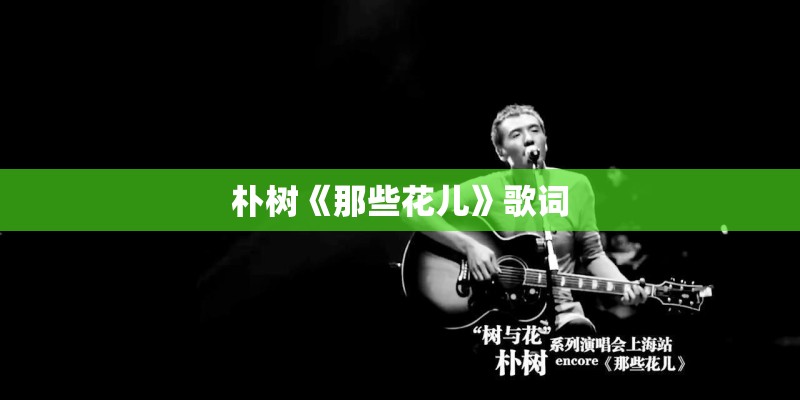 朴树《那些花儿》歌词