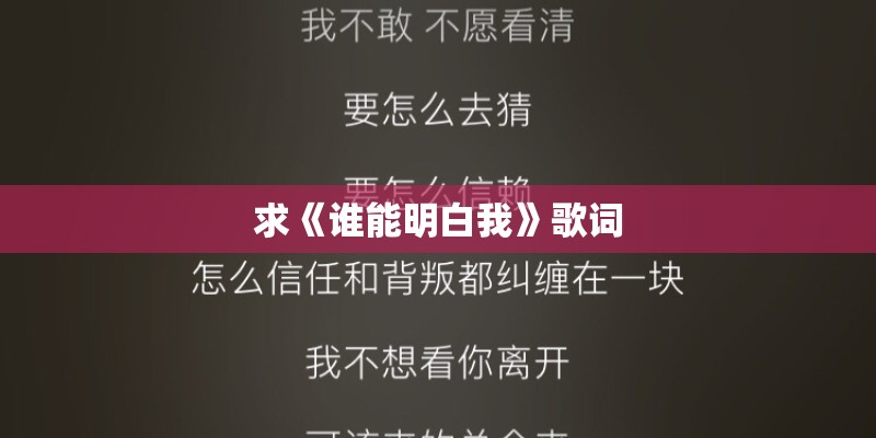 求《谁能明白我》歌词