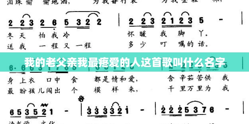 我的老父亲我最疼爱的人这首歌叫什么名字