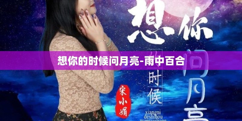 想你的时候问月亮-雨中百合