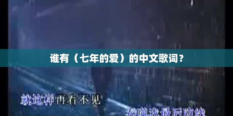 谁有（七年的爱）的中文歌词？