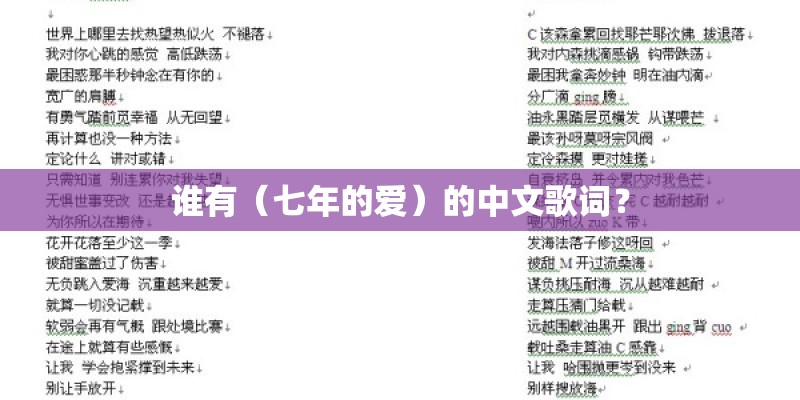 谁有（七年的爱）的中文歌词？