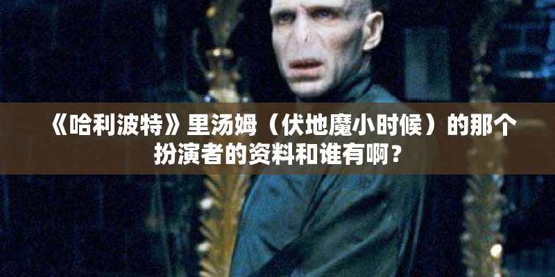 《哈利波特》里汤姆（伏地魔小时候）的那个扮演者的资料和谁有啊？