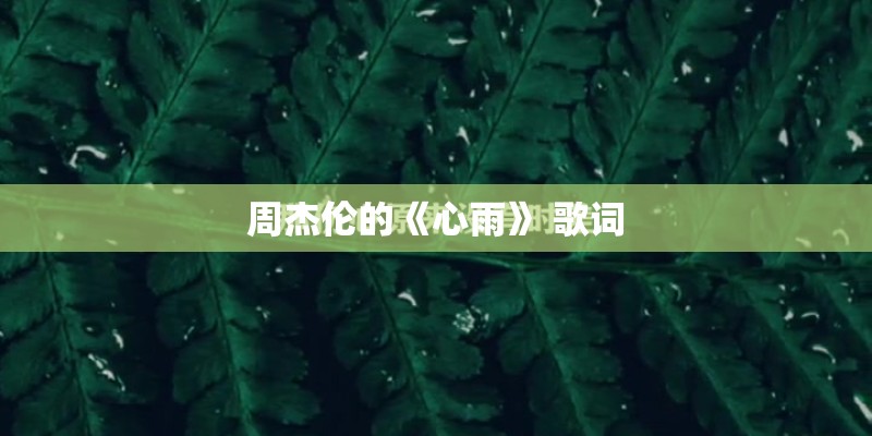 周杰伦的《心雨》 歌词