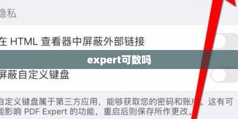 expert可数吗