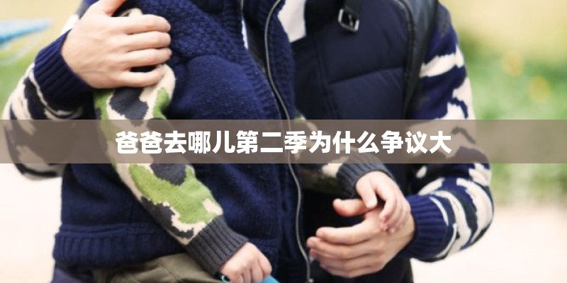 爸爸去哪儿第二季为什么争议大