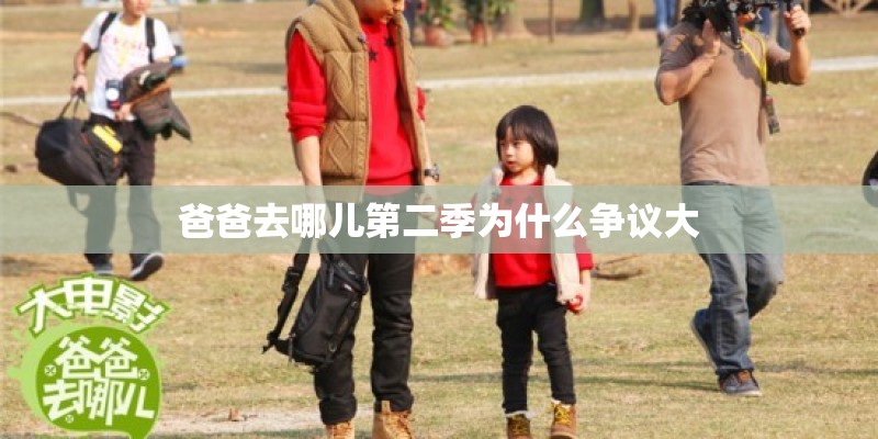 爸爸去哪儿第二季为什么争议大