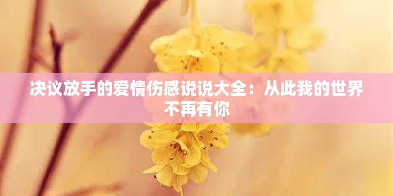 决议放手的爱情伤感说说大全：从此我的世界不再有你