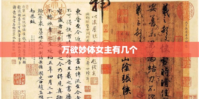 万欲妙体女主有几个