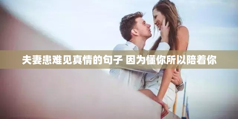 夫妻患难见真情的句子 因为懂你所以陪着你