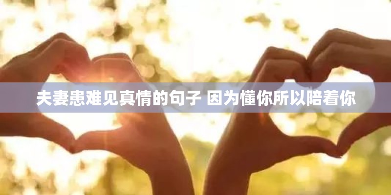 夫妻患难见真情的句子 因为懂你所以陪着你