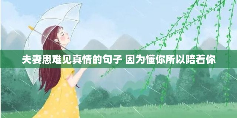 夫妻患难见真情的句子 因为懂你所以陪着你