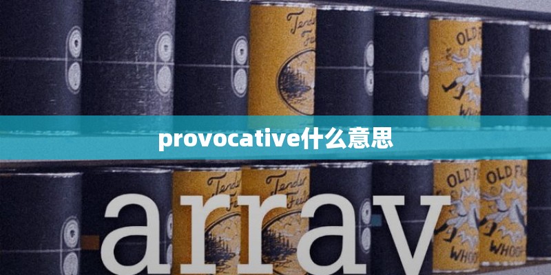 provocative什么意思