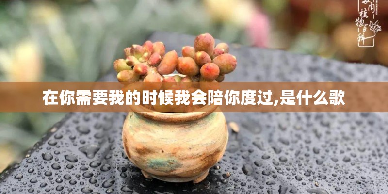 在你需要我的时候我会陪你度过,是什么歌 在你需要我的时候我会陪你度过,是什么歌