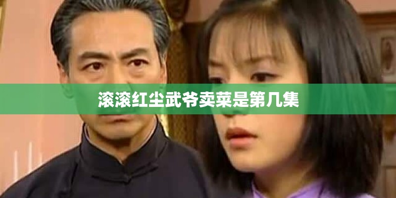 滚滚红尘武爷卖菜是第几集